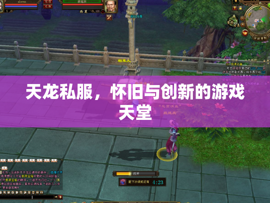 天龙私服，怀旧与创新的游戏天堂
