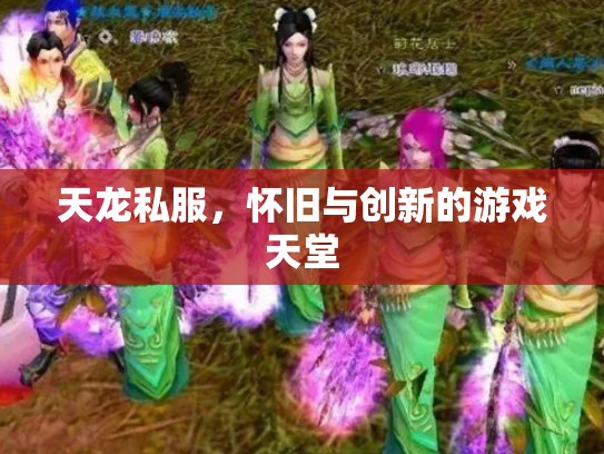 天龙私服，怀旧与创新的游戏天堂