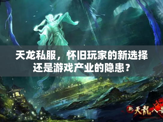 天龙私服，怀旧玩家的新选择还是游戏产业的隐患？