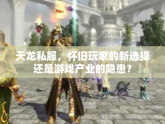 天龙私服，怀旧玩家的新选择还是游戏产业的隐患？