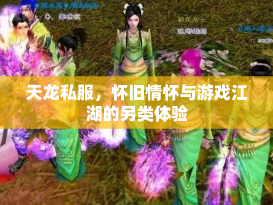 天龙私服，怀旧情怀与游戏江湖的另类体验