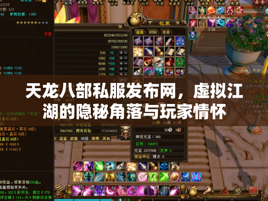 天龙八部私服发布网，虚拟江湖的隐秘角落与玩家情怀