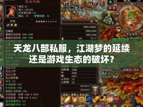 天龙八部私服，江湖梦的延续还是游戏生态的破坏？