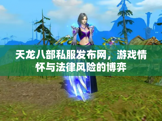 天龙八部私服发布网，游戏情怀与法律风险的博弈