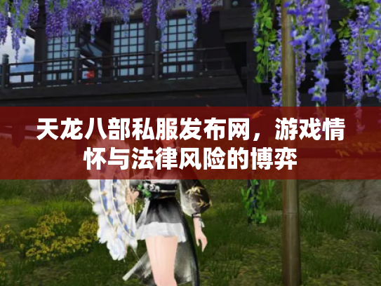 天龙八部私服发布网，游戏情怀与法律风险的博弈