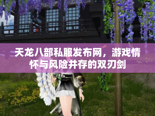 天龙八部私服发布网，游戏情怀与风险并存的双刃剑
