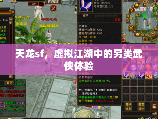 天龙sf，虚拟江湖中的另类武侠体验
