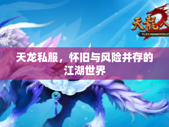 天龙私服，怀旧与风险并存的江湖世界