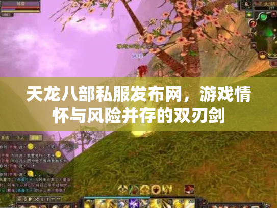天龙八部私服发布网，游戏情怀与风险并存的双刃剑