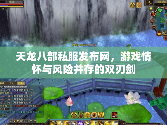天龙八部私服发布网，游戏情怀与风险并存的双刃剑