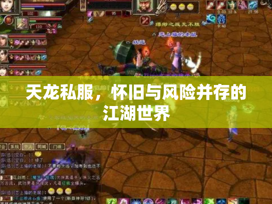 天龙私服，怀旧与风险并存的江湖世界