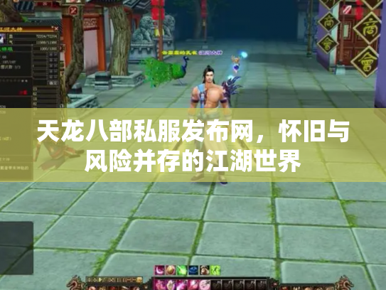 天龙八部私服发布网，怀旧与风险并存的江湖世界