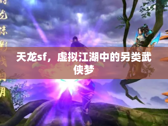 天龙sf，虚拟江湖中的另类武侠梦