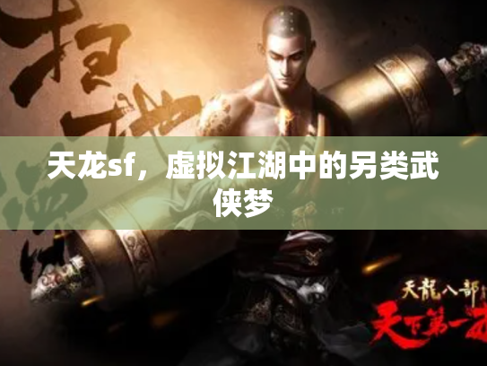 天龙sf，虚拟江湖中的另类武侠梦