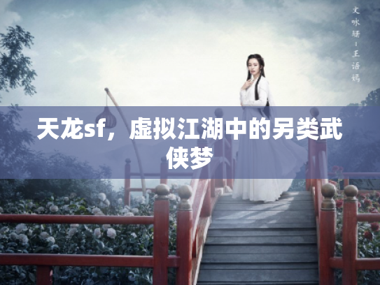 天龙sf，虚拟江湖中的另类武侠梦