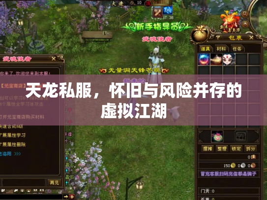 天龙私服，怀旧与风险并存的虚拟江湖
