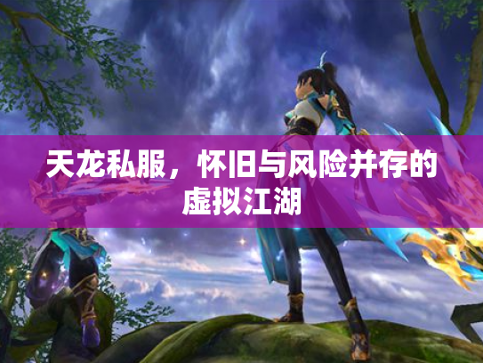 天龙私服，怀旧与风险并存的虚拟江湖