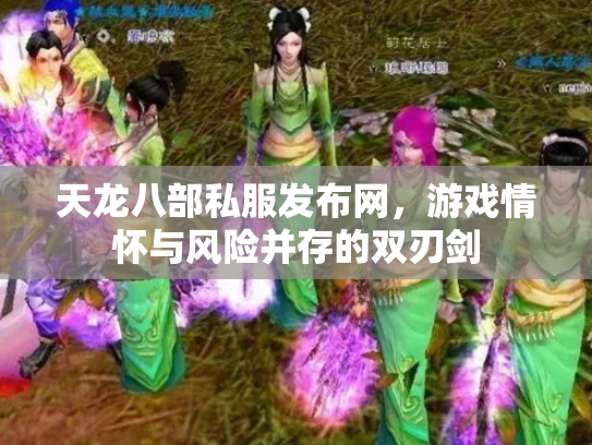 天龙八部私服发布网，游戏情怀与风险并存的双刃剑