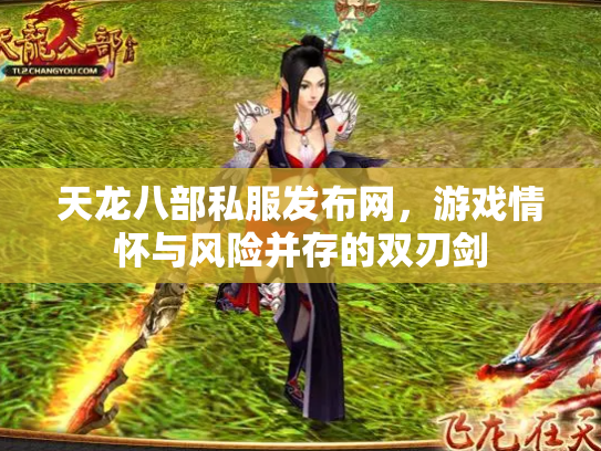 天龙八部私服发布网，游戏情怀与风险并存的双刃剑