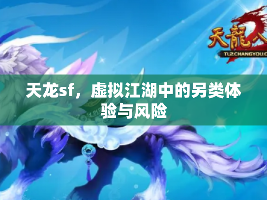 天龙sf，虚拟江湖中的另类体验与风险