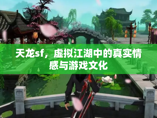 天龙sf，虚拟江湖中的真实情感与游戏文化