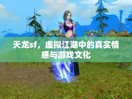天龙sf，虚拟江湖中的真实情感与游戏文化
