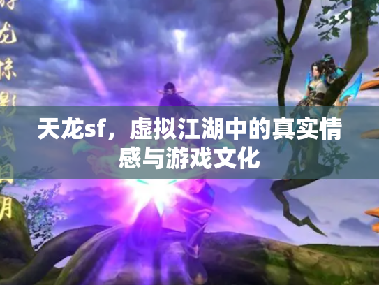 天龙sf，虚拟江湖中的真实情感与游戏文化