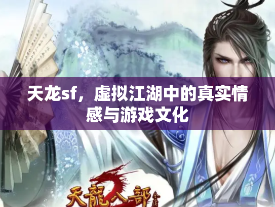 天龙sf，虚拟江湖中的真实情感与游戏文化