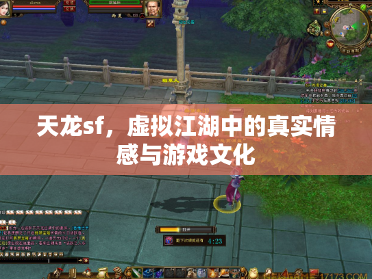 天龙sf，虚拟江湖中的真实情感与游戏文化