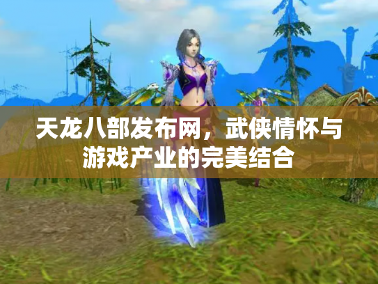 天龙八部发布网，武侠情怀与游戏产业的完美结合