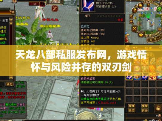 天龙八部私服发布网，游戏情怀与风险并存的双刃剑