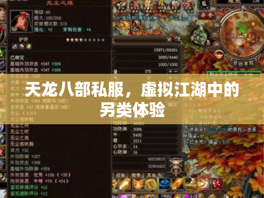 天龙八部私服，虚拟江湖中的另类体验