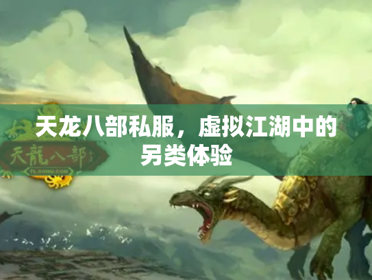 天龙八部私服，虚拟江湖中的另类体验