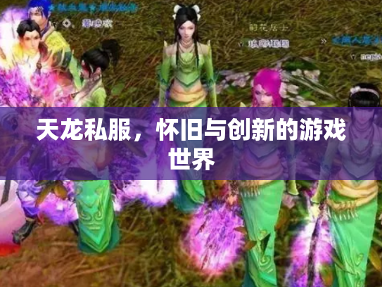 天龙私服，怀旧与创新的游戏世界