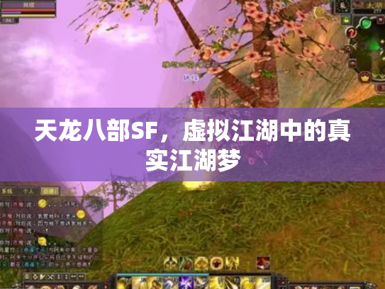 天龙八部SF，虚拟江湖中的真实江湖梦