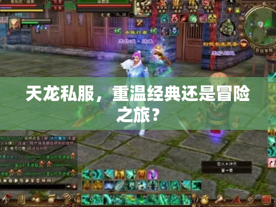 天龙私服，重温经典还是冒险之旅？