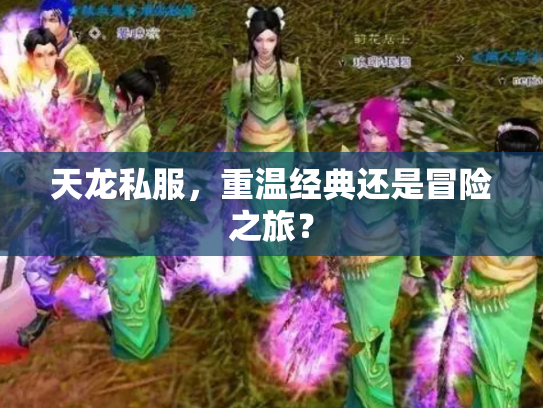 天龙私服，重温经典还是冒险之旅？