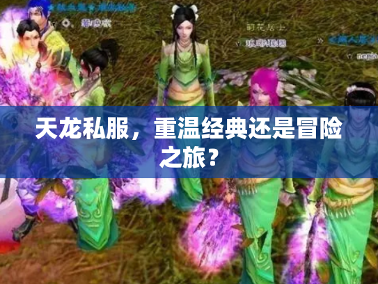 天龙私服，重温经典还是冒险之旅？