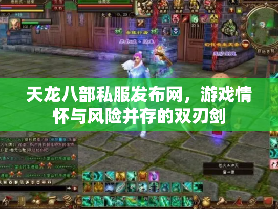 天龙八部私服发布网，游戏情怀与风险并存的双刃剑