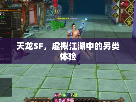 天龙SF，虚拟江湖中的另类体验
