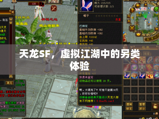 天龙SF，虚拟江湖中的另类体验