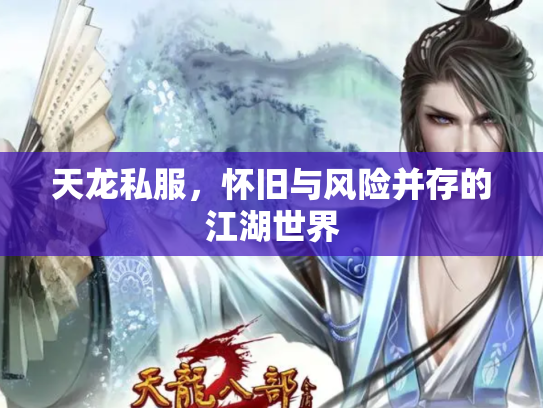 天龙私服，怀旧与风险并存的江湖世界
