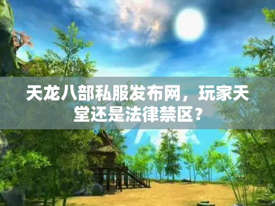 天龙八部私服发布网，玩家天堂还是法律禁区？