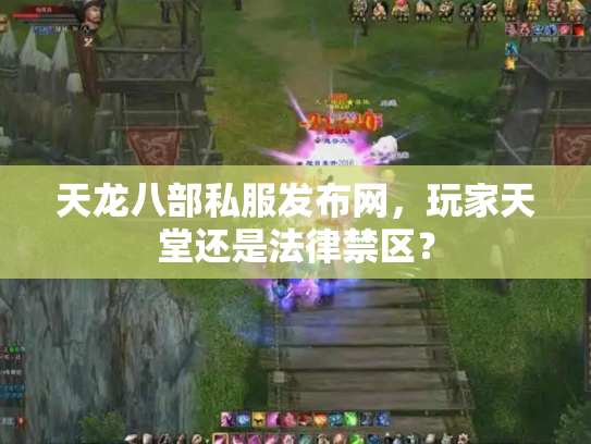天龙八部私服发布网，玩家天堂还是法律禁区？