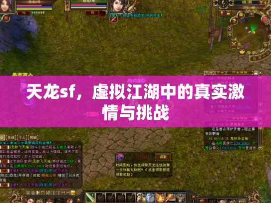 天龙sf，虚拟江湖中的真实激情与挑战