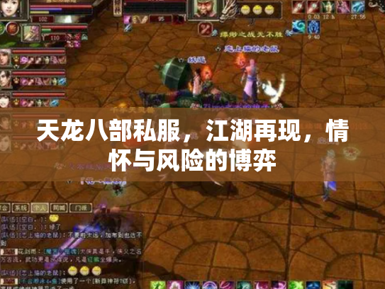 天龙八部私服，江湖再现，情怀与风险的博弈