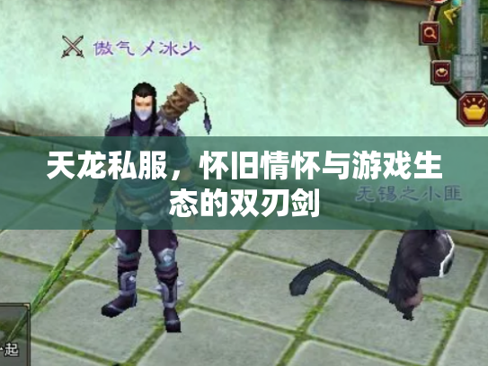 天龙私服，怀旧情怀与游戏生态的双刃剑
