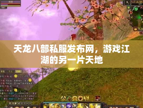 天龙八部私服发布网，游戏江湖的另一片天地