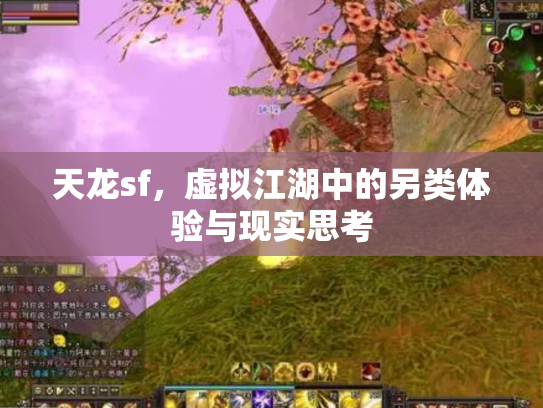 天龙sf，虚拟江湖中的另类体验与现实思考