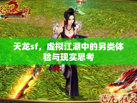 天龙sf，虚拟江湖中的另类体验与现实思考